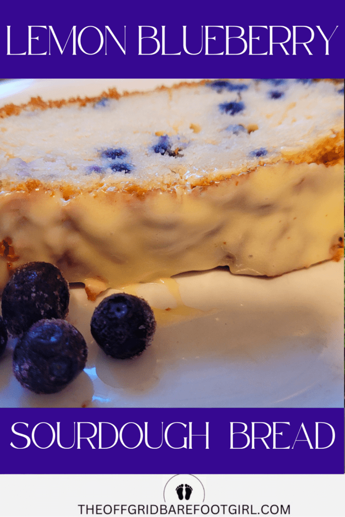 Image illustrates lemon blueberry sourdough quick bread.