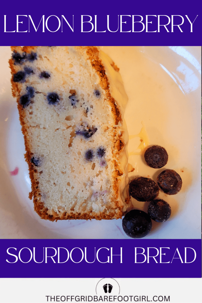 Image illustrates lemon blueberry sourdough quick bread.