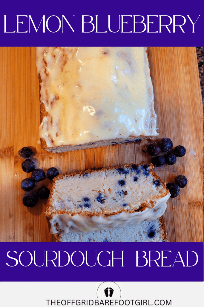 Image illustrates lemon blueberry sourdough quick bread.