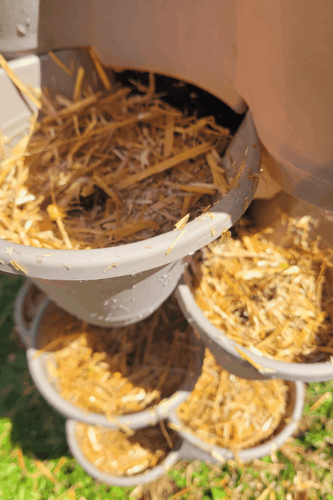 Image illustrates a Dollar Tree strawberry tower.
