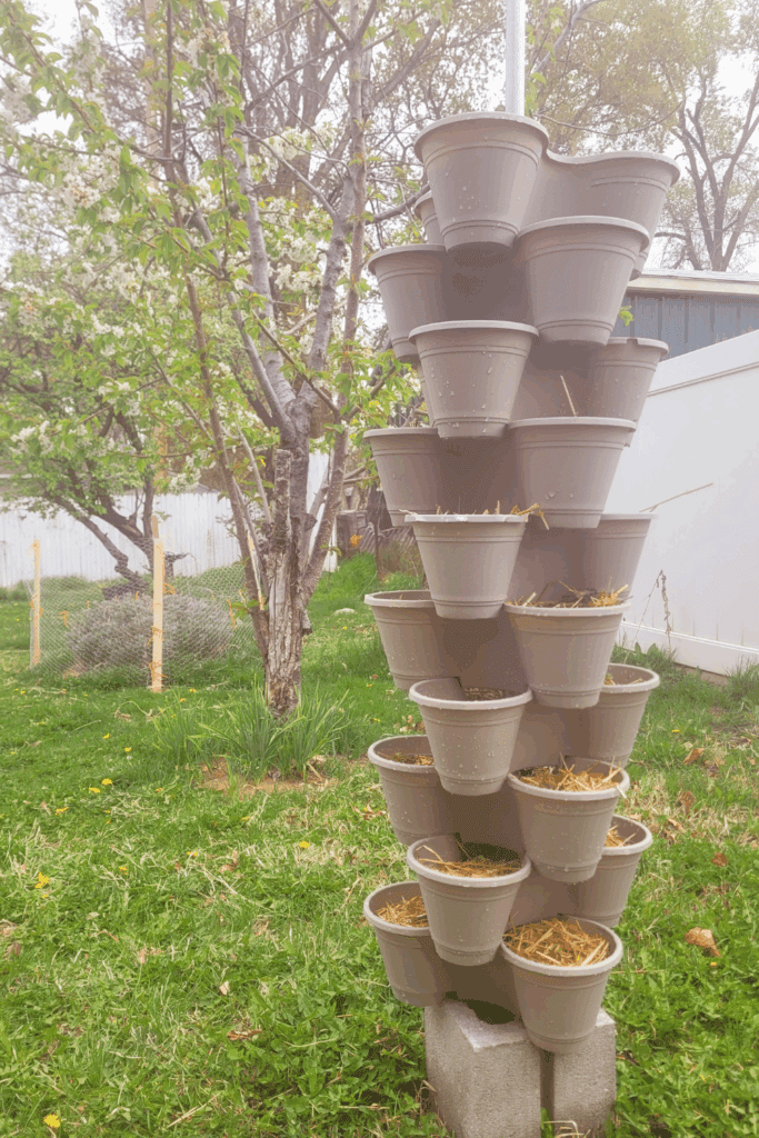 Image illustrates Dollar Tree planters.