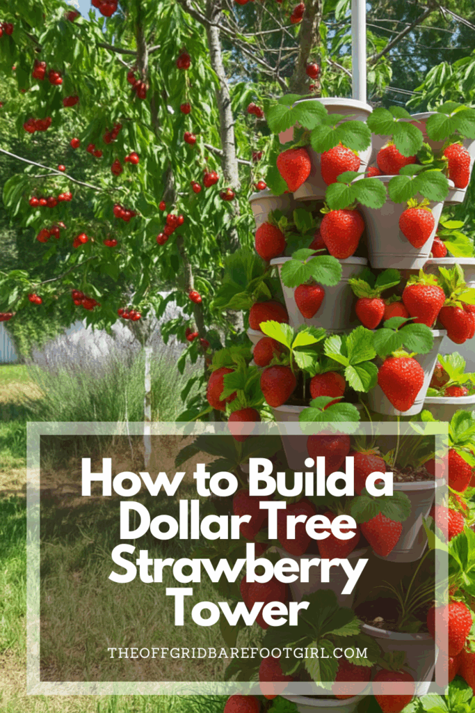 Image illustrates a Pinterest pin of a Dollar Tree strawberry tower.