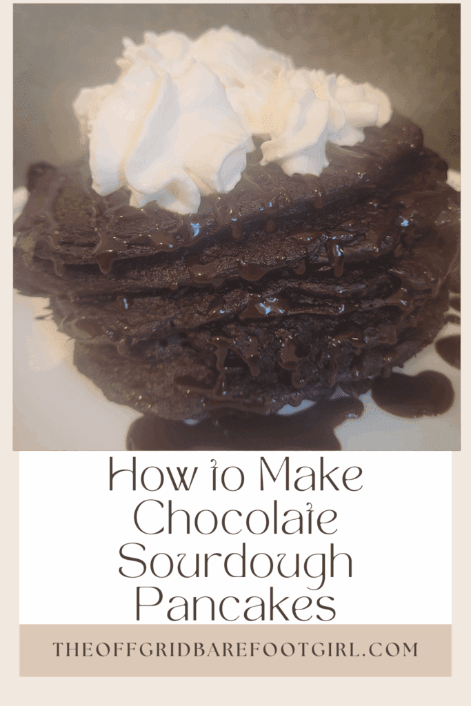 Image illustrates a Pinterest pin of chocolate sourdough pancakes.