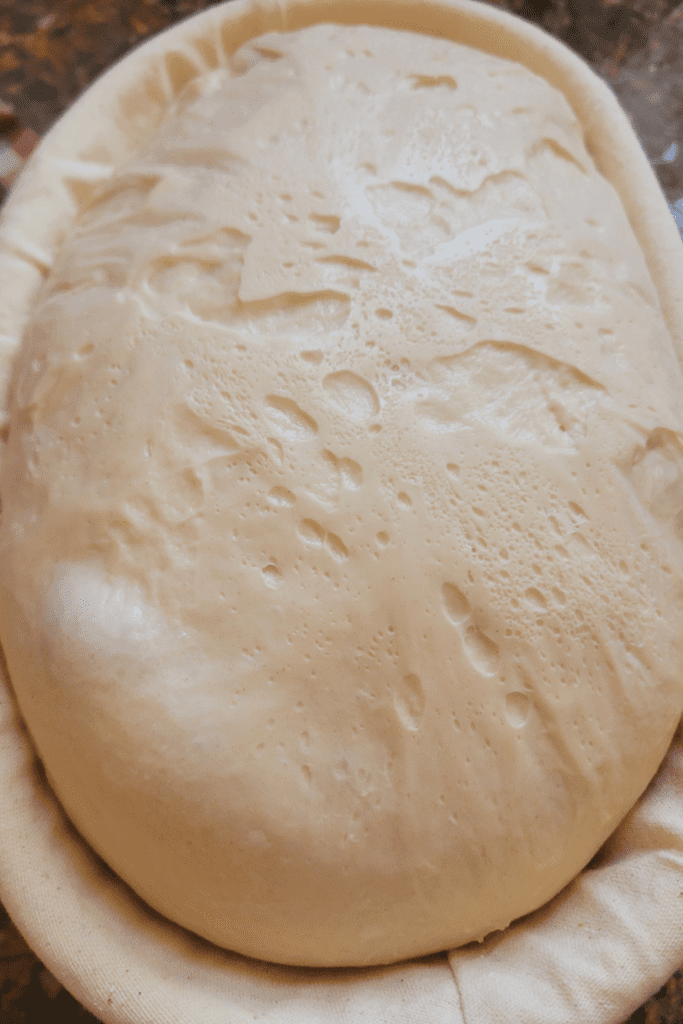 Image illustrates honey sourdough bread.