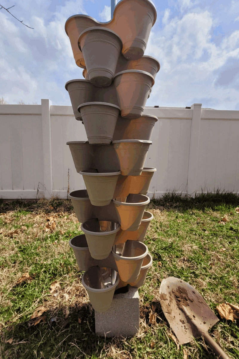 Image illustrates a Dollar Tree strawberry tower.