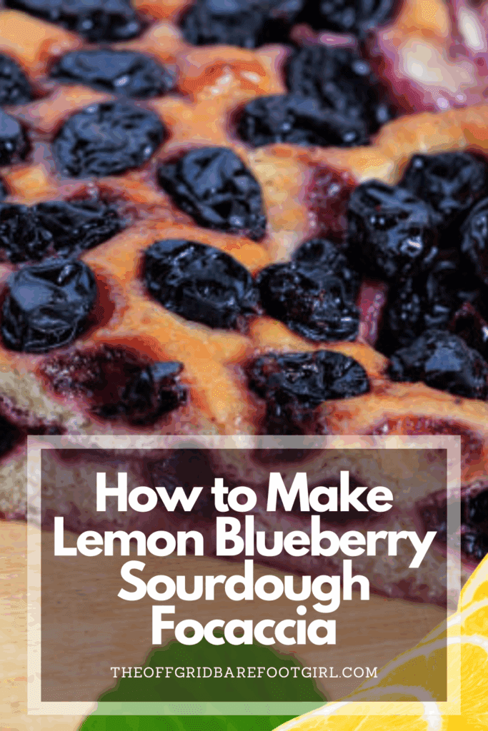 Image illustrates a Pinterest pin of lemon blueberry sourdough focaccia.