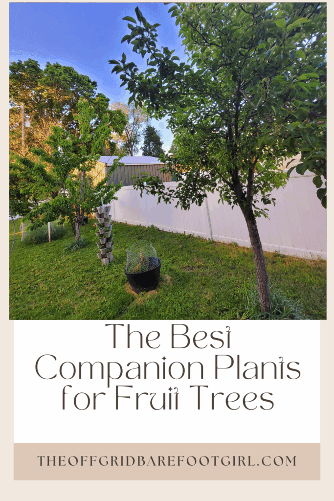 Image illustrates a Pinterest pin of companion plants for fruit trees.