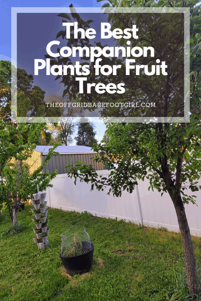 Image illustrates a Pinterest pin of companion plants for fruit trees.