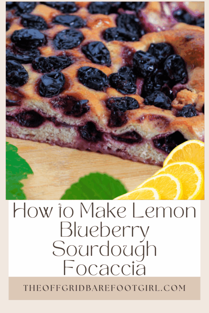 Image illustrates a Pinterest pin of lemon blueberry sourdough focaccia.