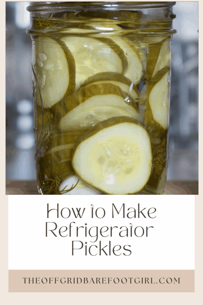 Image illustrates a Pinterest pin of refrigerator pickles.