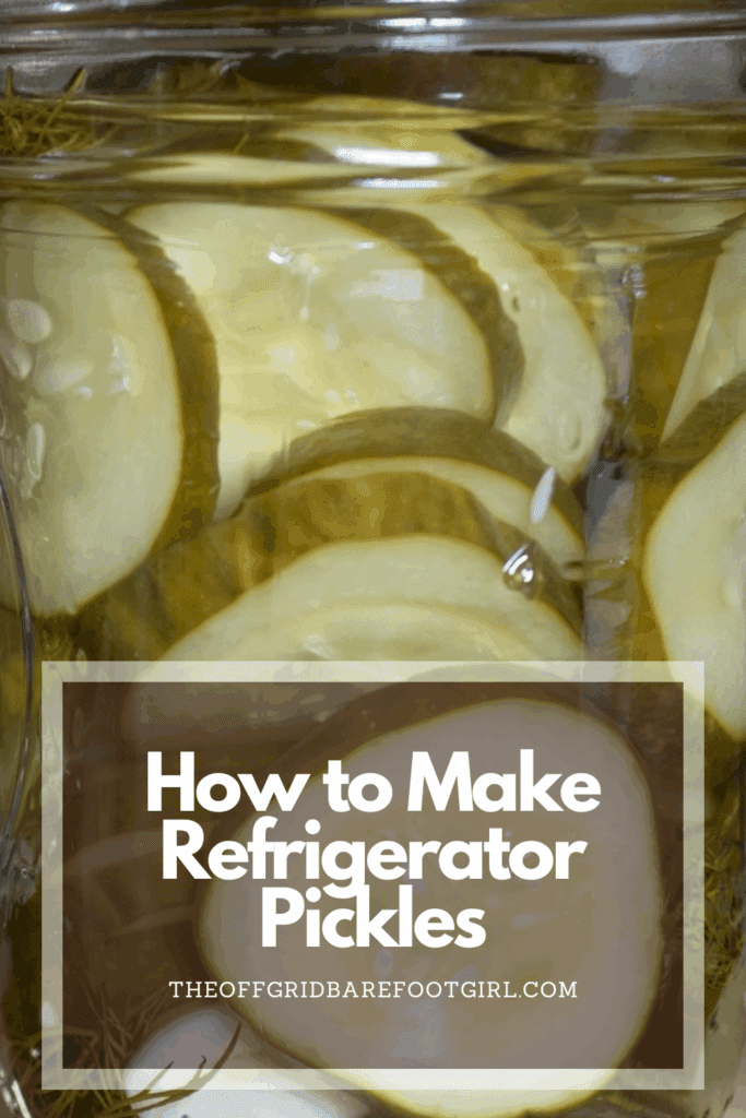 Image illustrates a Pinterest pin of refrigerator pickles.