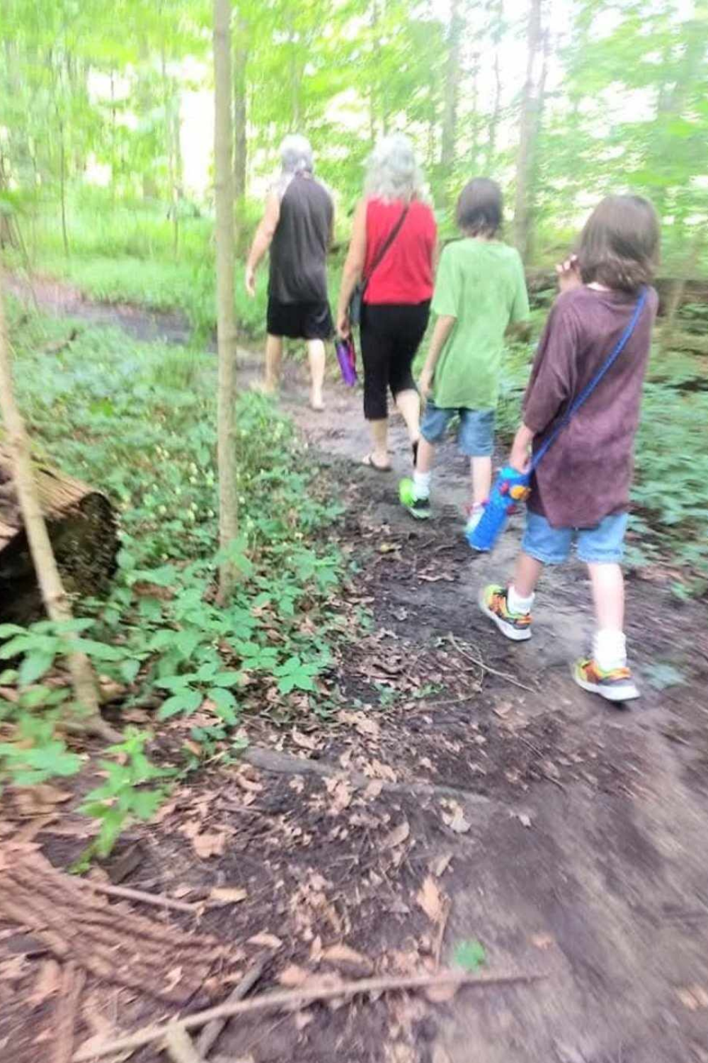 Image illustrates a family on a hike.
