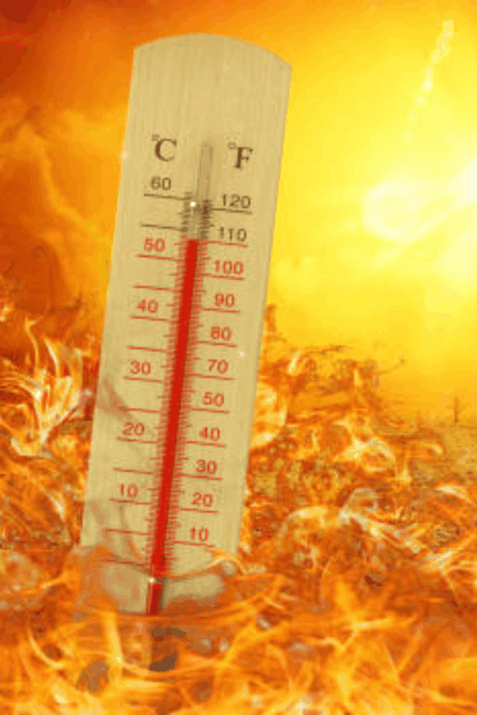 Image illustrates off-grid summer survival tips.