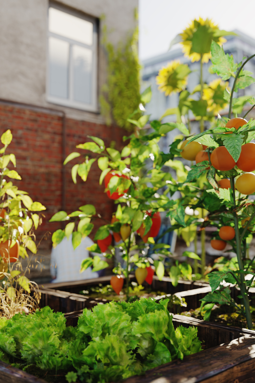 Image illustrates a rooftop and balcony garden to grow your own food without a yard.
