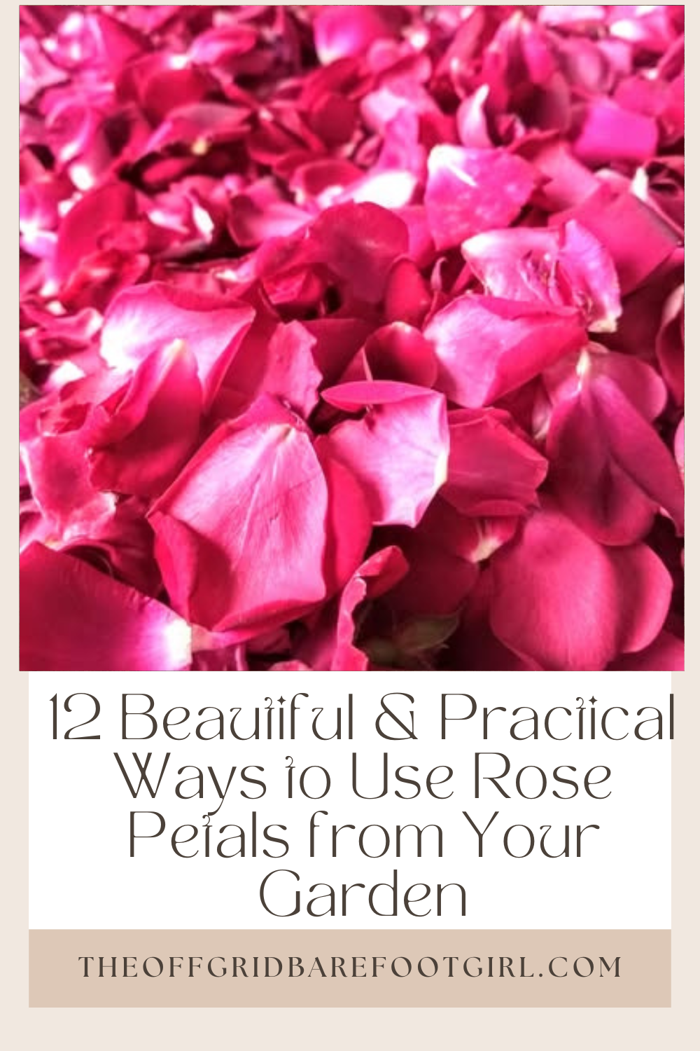 Image illustrates a Pinterest pin of rose petals.