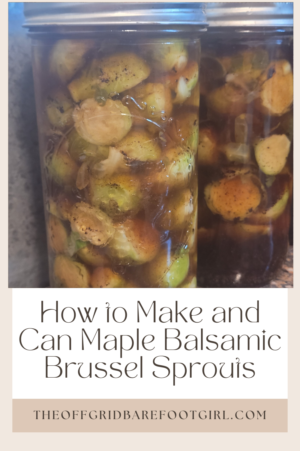 Image illustrates a Pinterest pin of maple balsamic brussel sprouts.