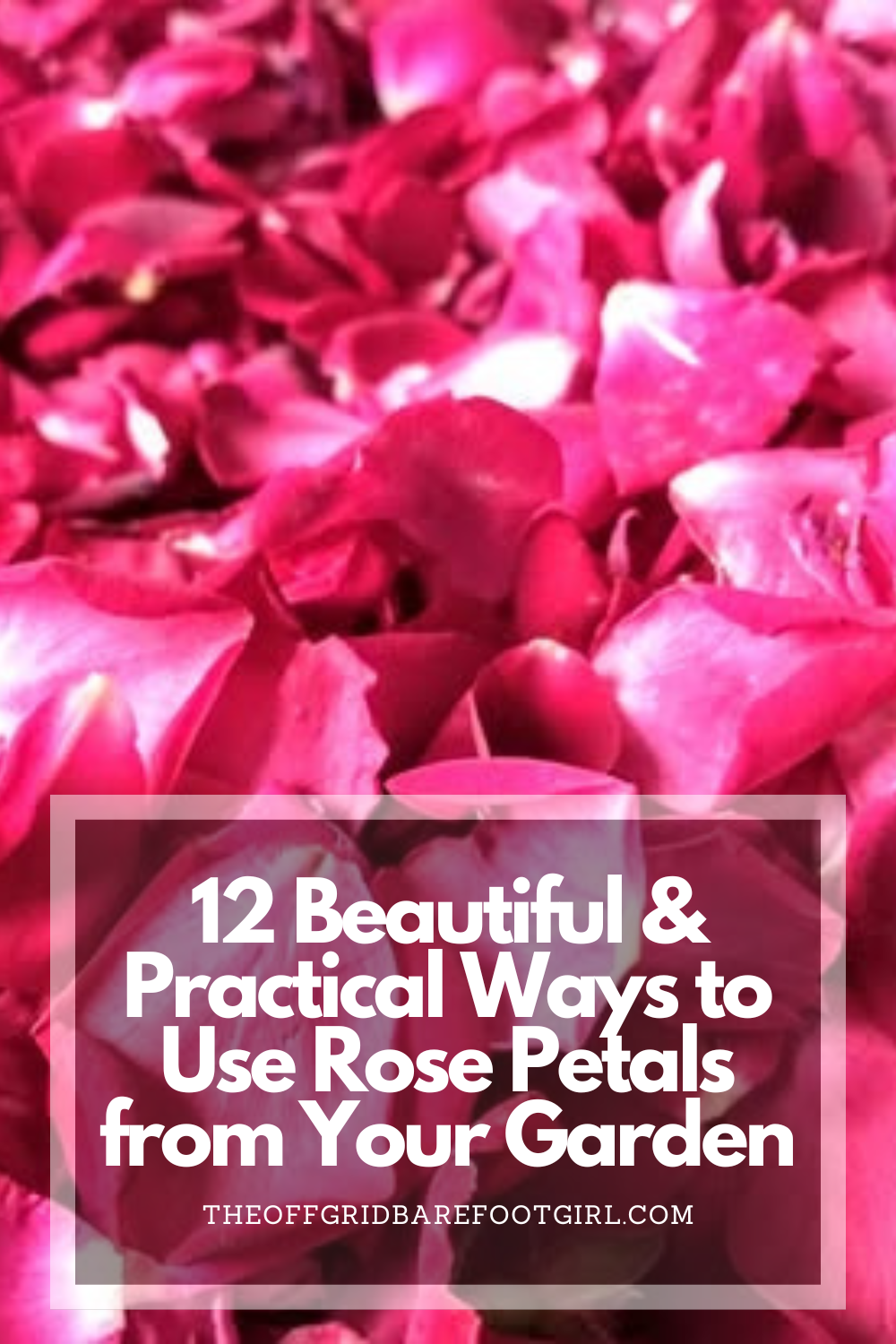Image illustrates a Pinterest pin of rose petals.