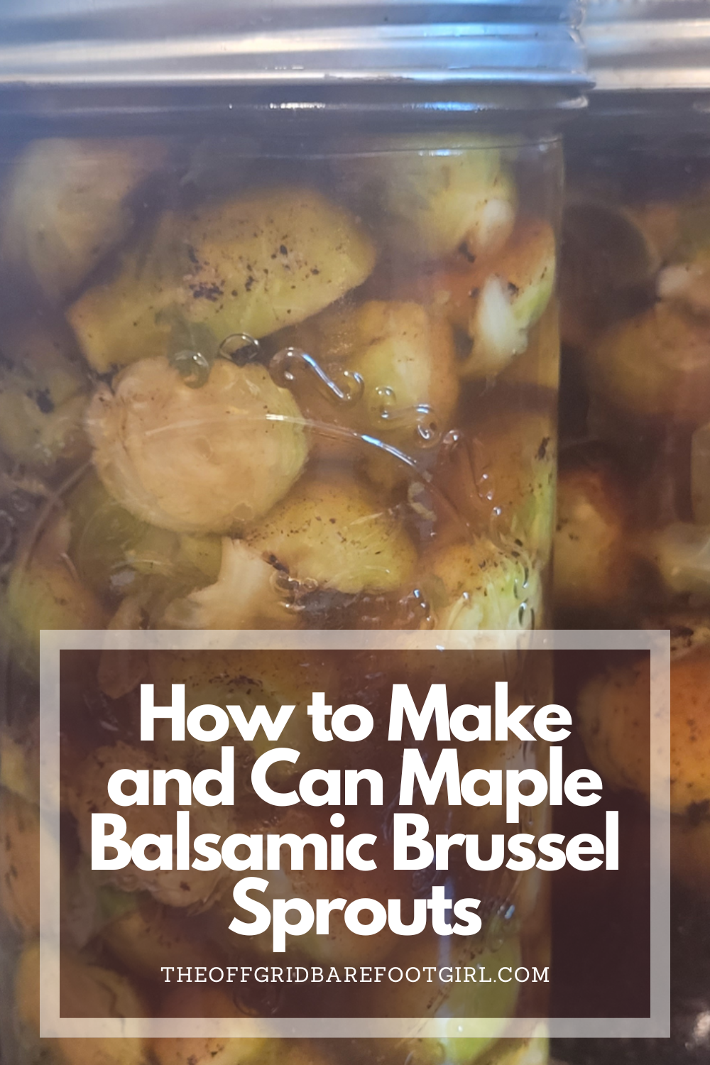 Image illustrates a Pinterest pin of maple balsamic brussel sprouts.