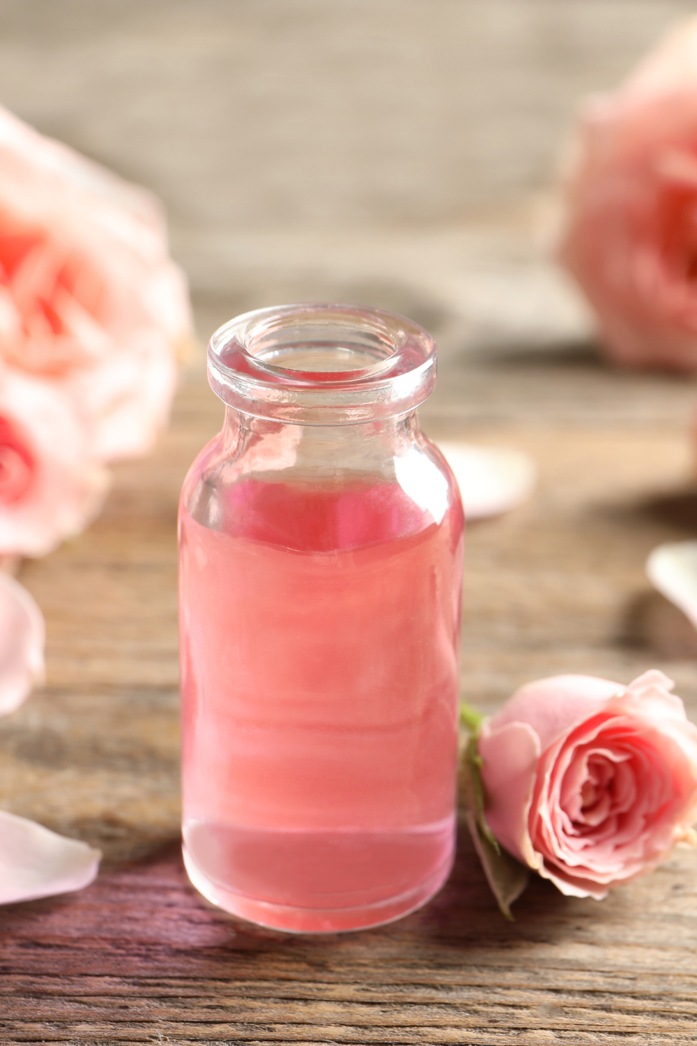 Image illustrates rose petals for rose oil.