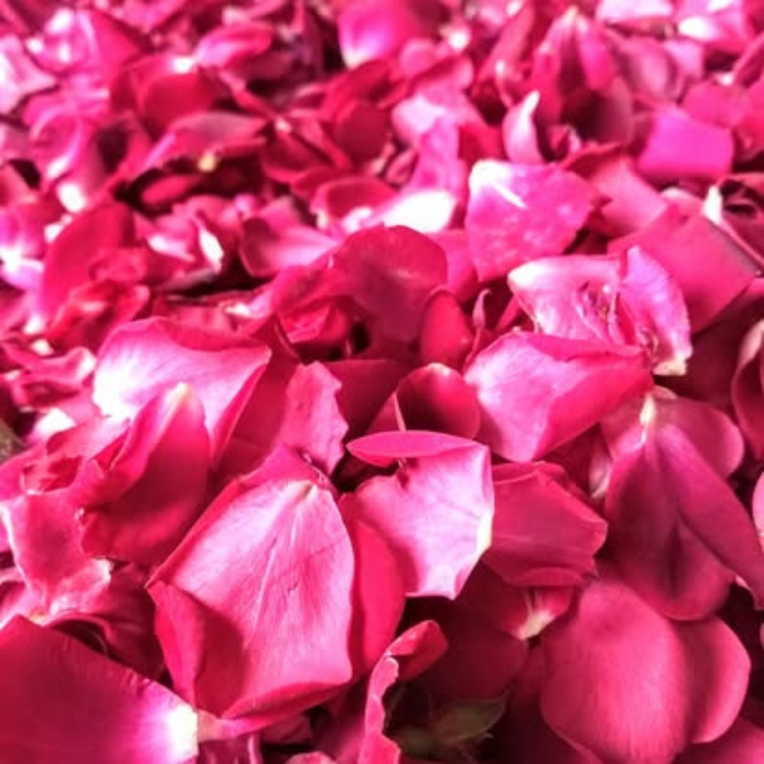 12 Beautiful & Practical Ways to Use Rose Petals from Your Garden