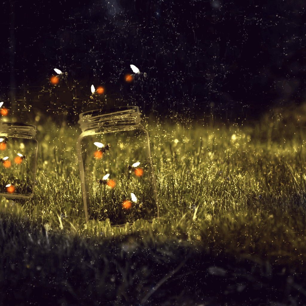 Image illustrates fireflies and lightning bugs.