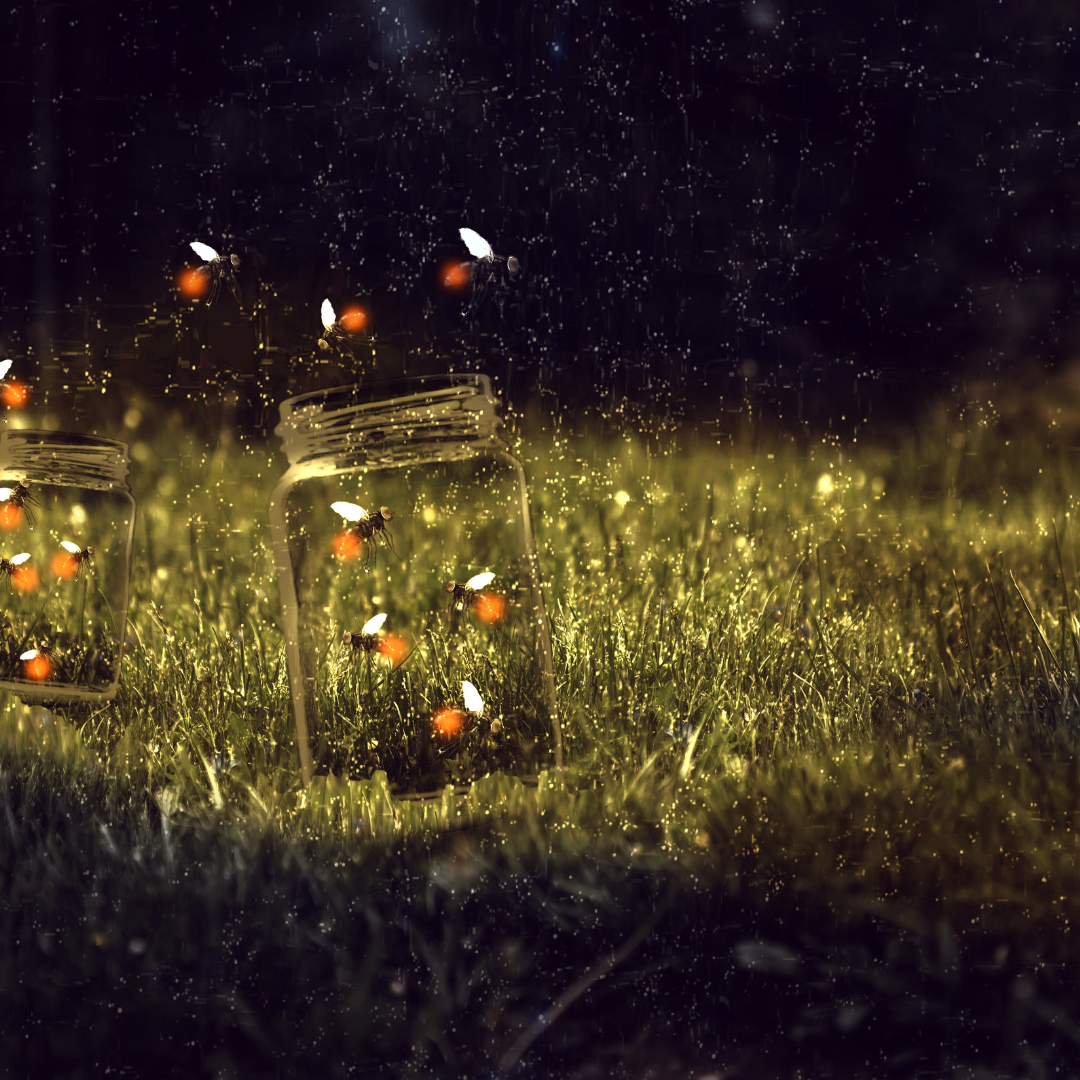 Bring Back the Magic of Fireflies and Lightning Bugs with Solar Power!