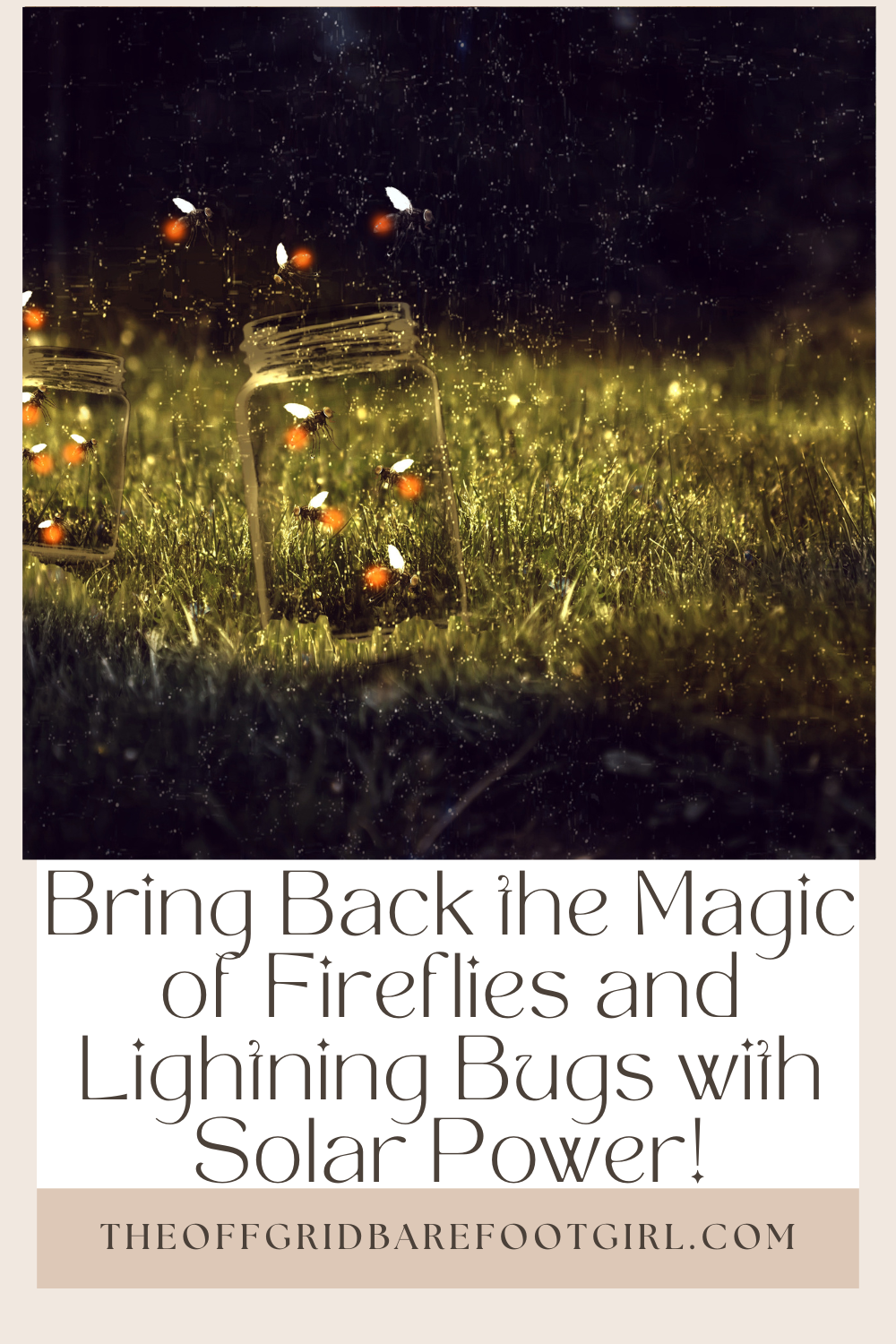 Image illustrates a Pinterest pin offFireflies and lightning bugs.