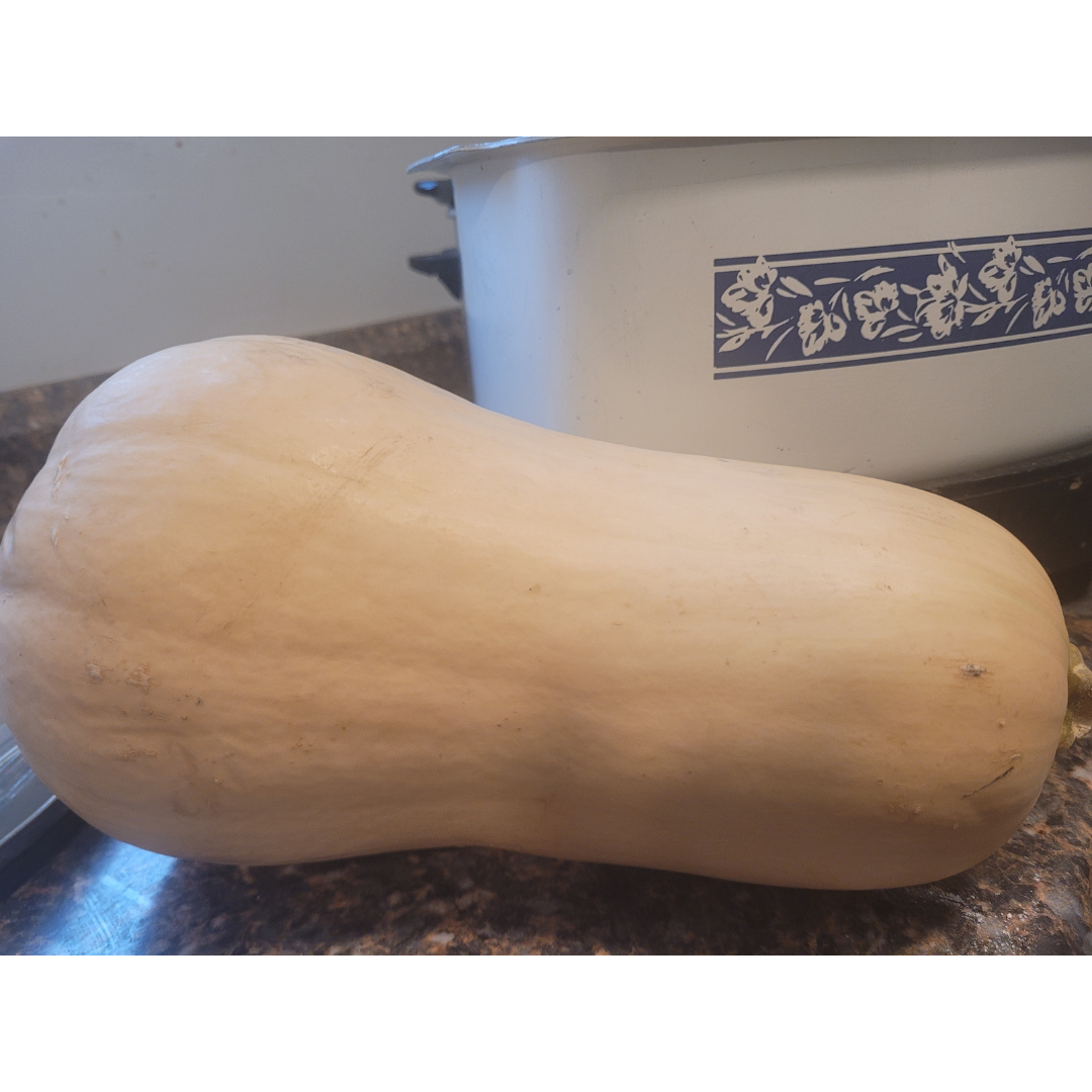 Image illustrates butternut squash for butternut squash butter.
