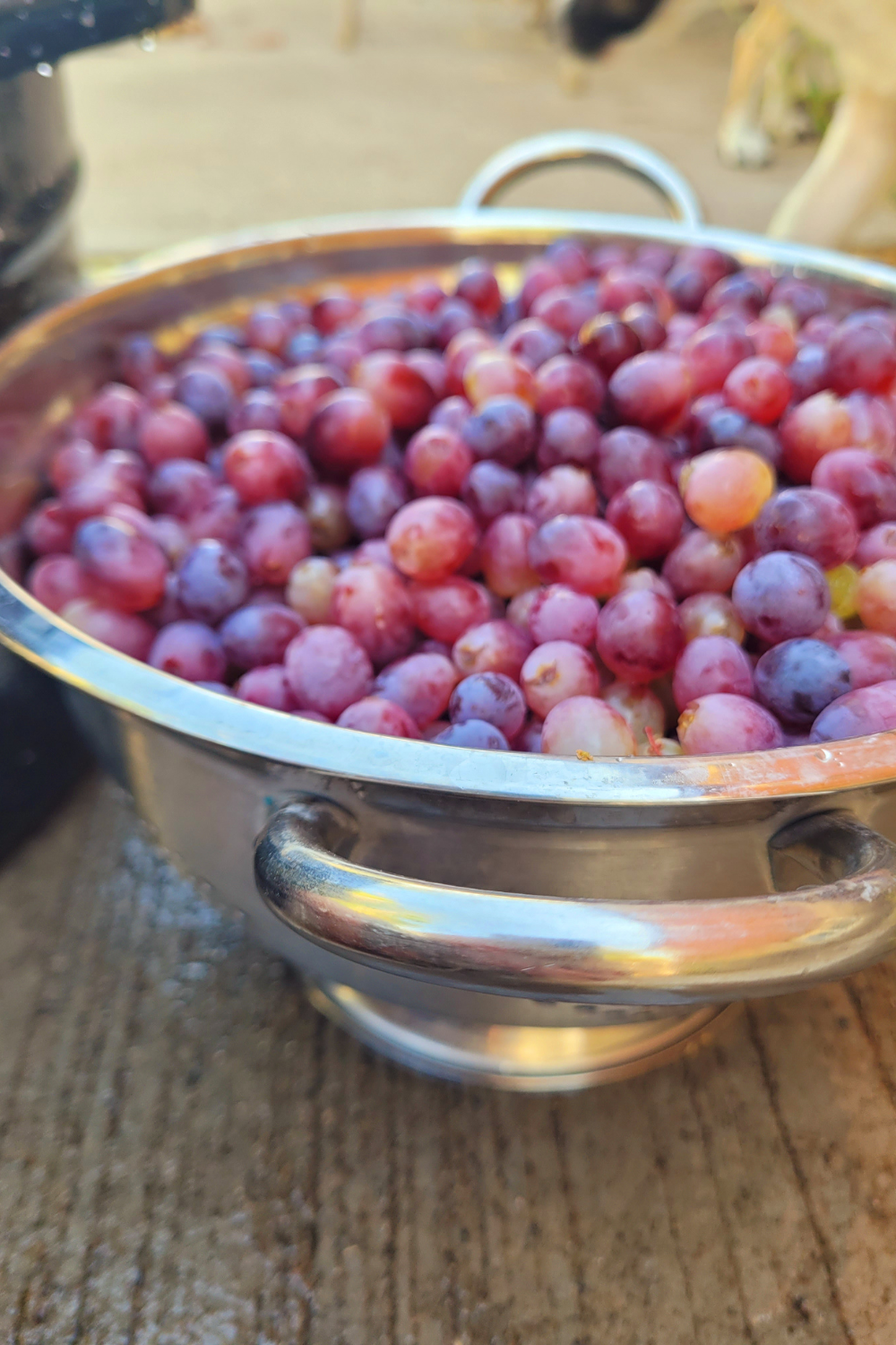 Image illustrates raisins for how to make homemade raisins.