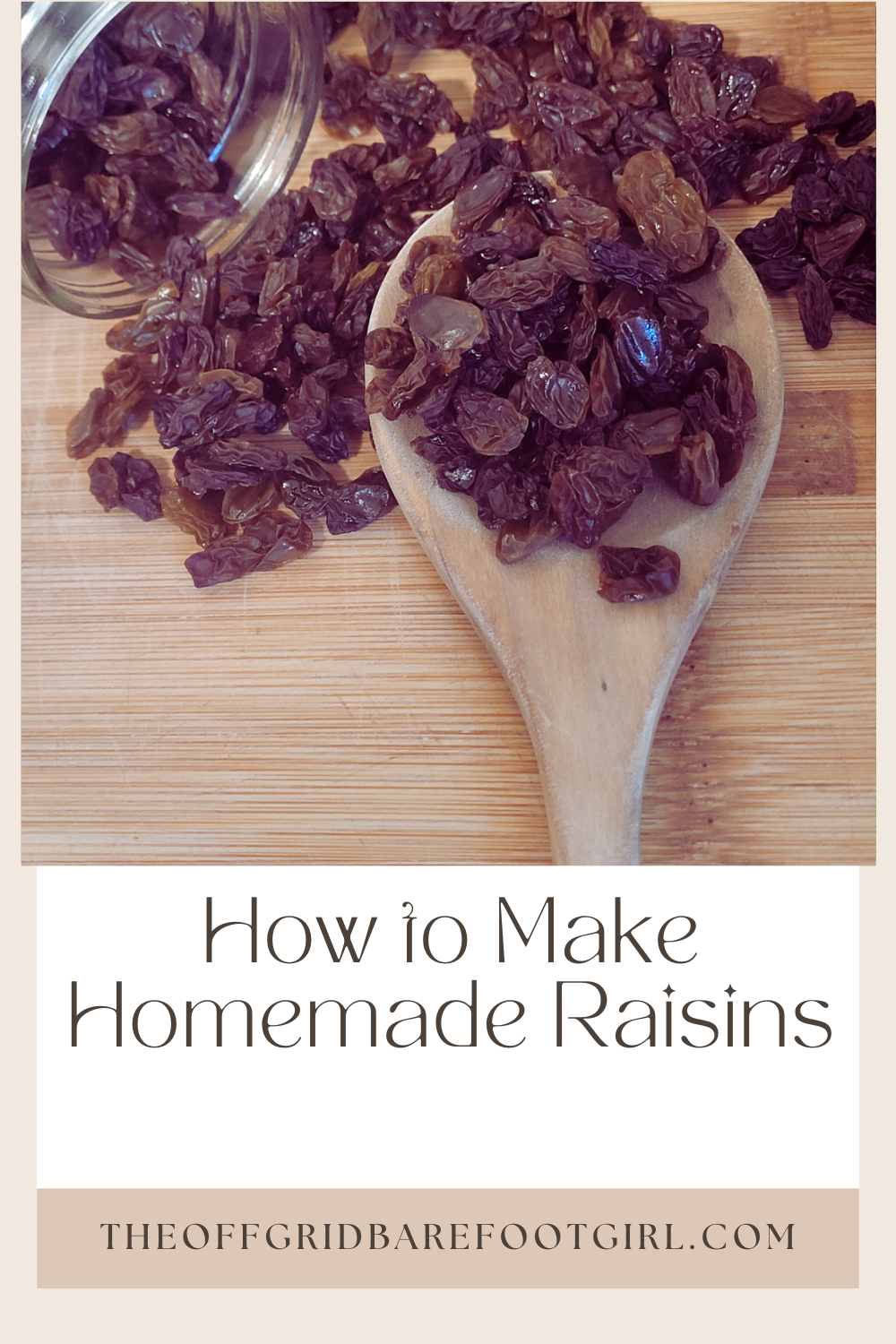 Image illustrates a Pinterest pin for how to make homemade raisins.