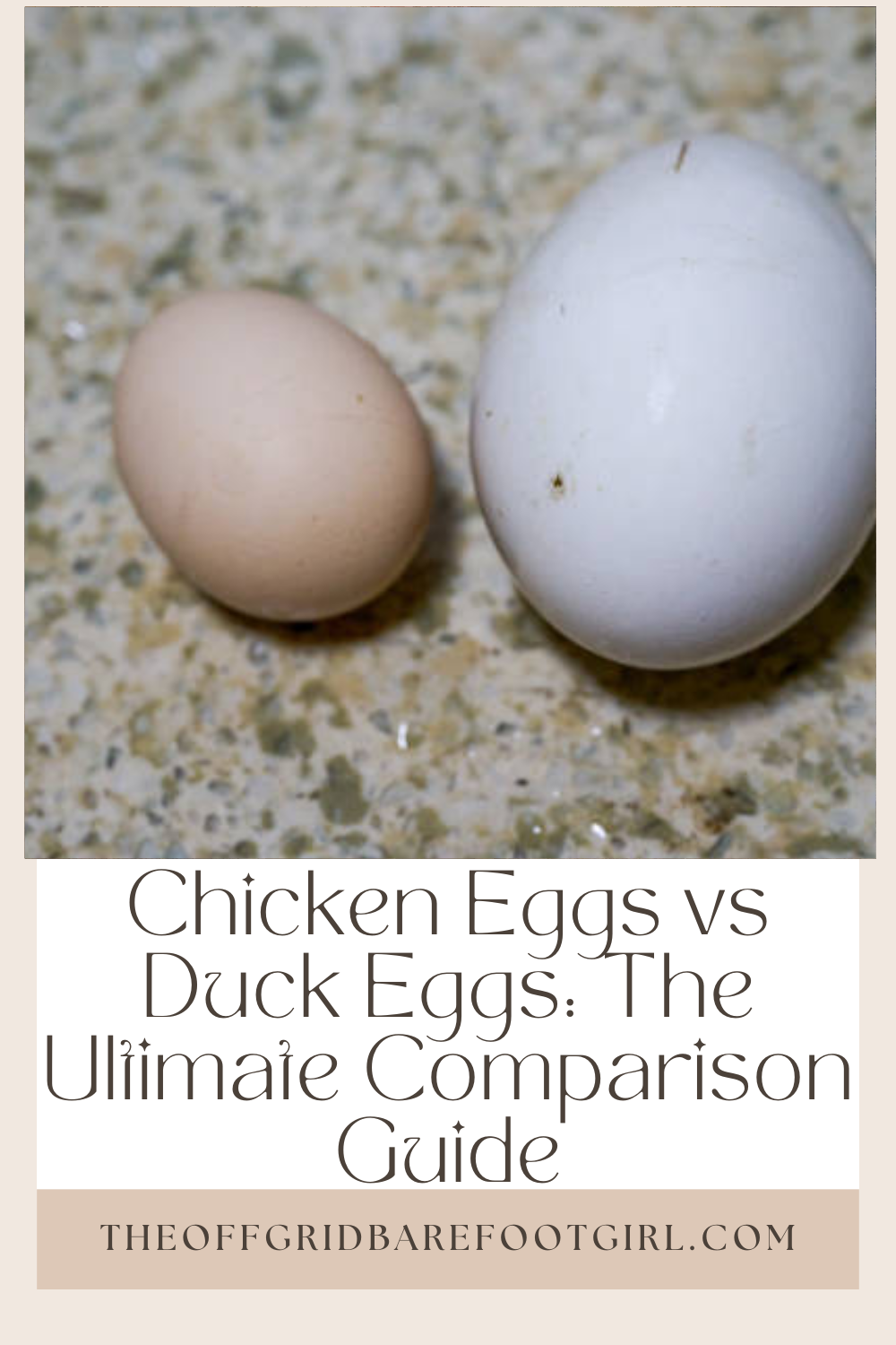 Image illustrates a Pinterest pin of chicken eggs vs duck eggs.