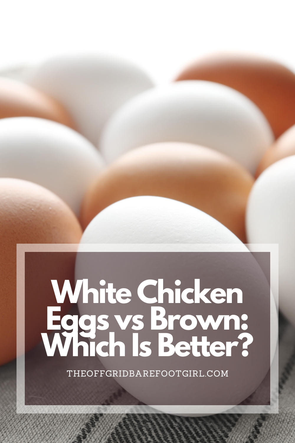 Image illustrates a Pinterest pin of white chicken eggs vs brown.