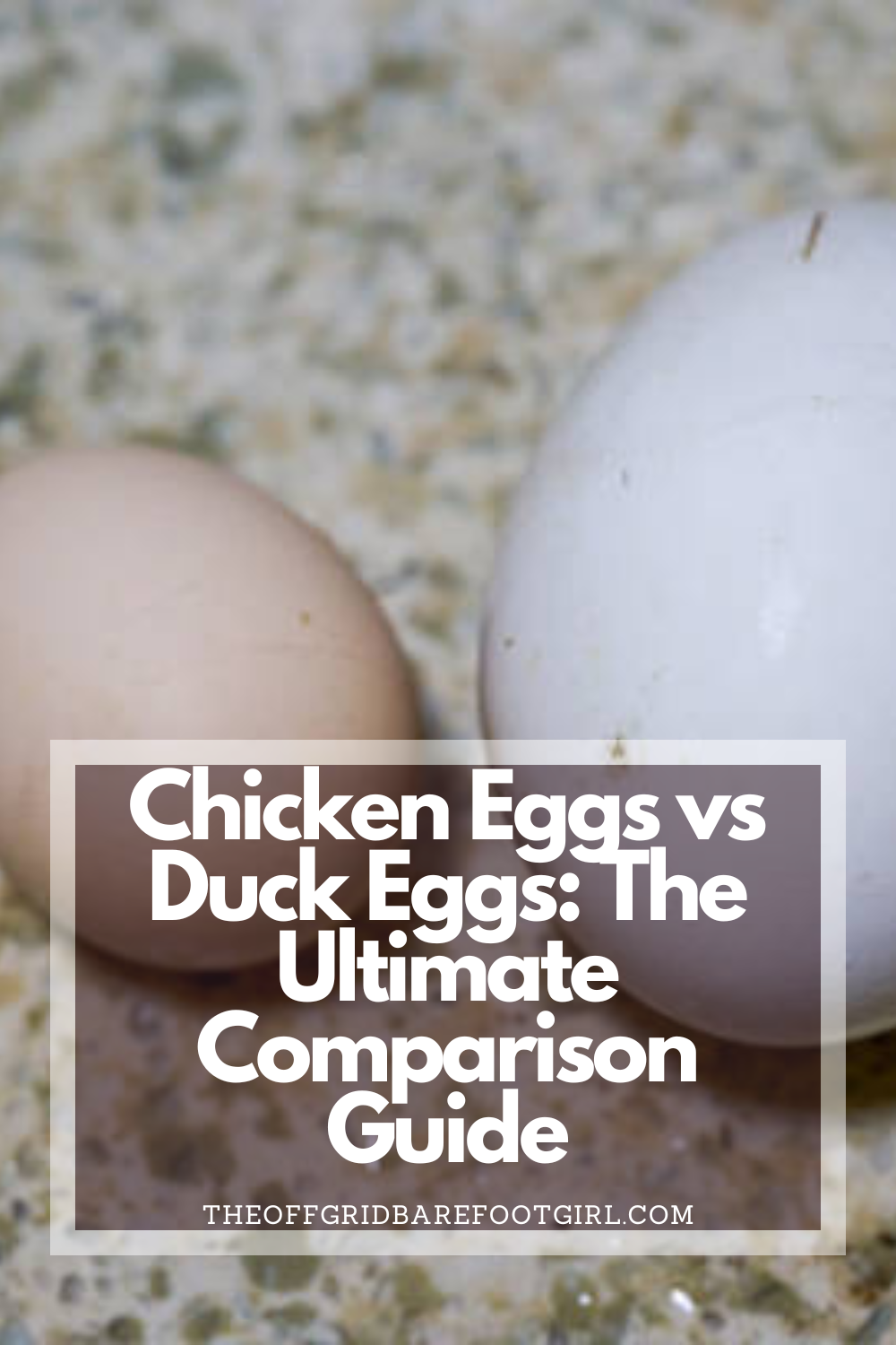 Image illustrates a Pinterest pin of chicken eggs vs duck eggs.