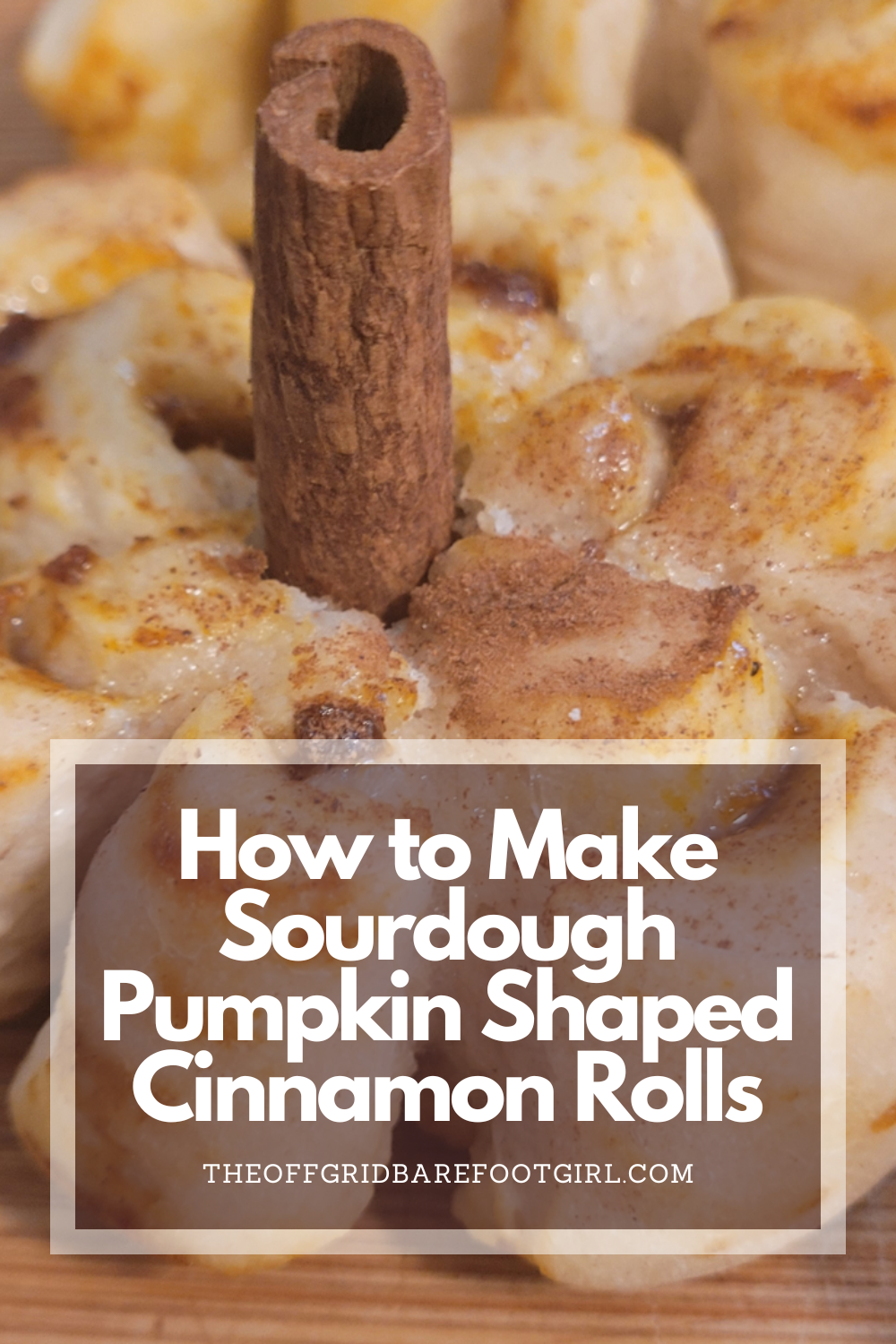 Image illustrates a Pinterest pin of sourdough pumpkin shaped cinnamon rolls.