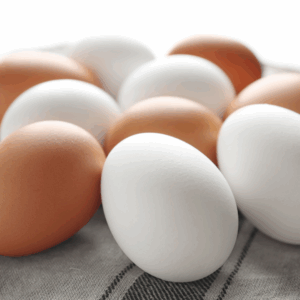 Image illustrates white chicken eggs vs brown.