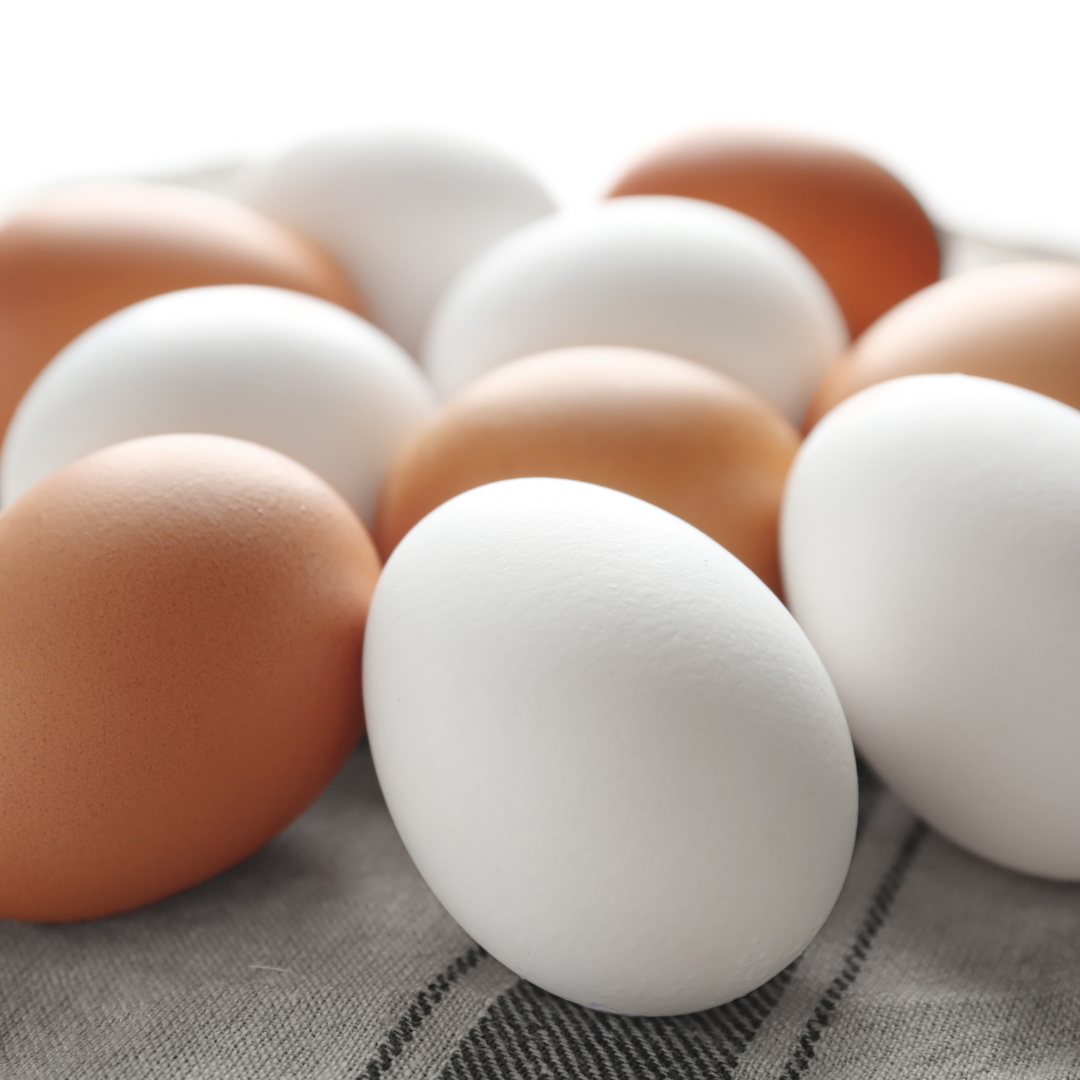 White Chicken Eggs vs Brown: Which Is Better?