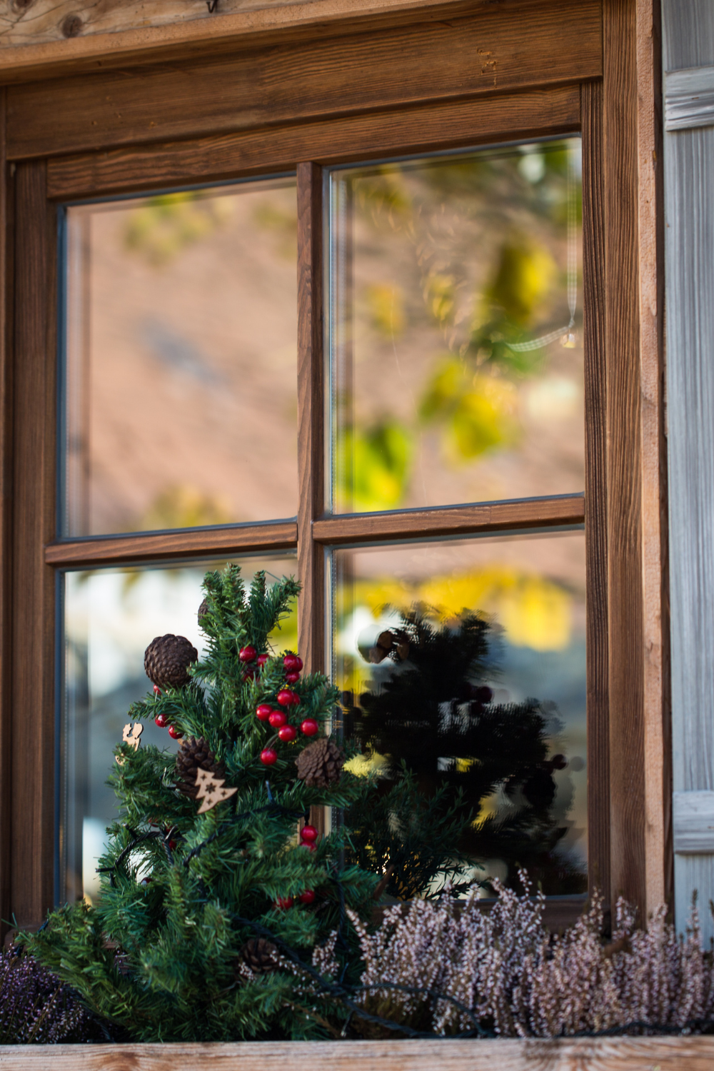 Image illustrates a rustic living room windows for ideas for rustic living room.