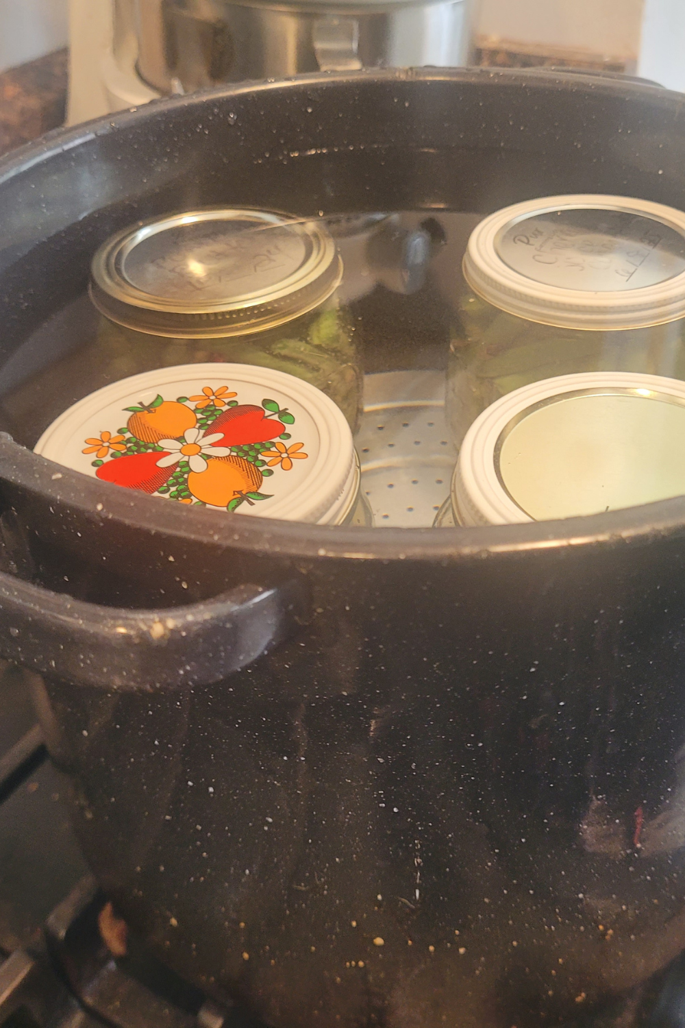 Image illustrates dilly beans.