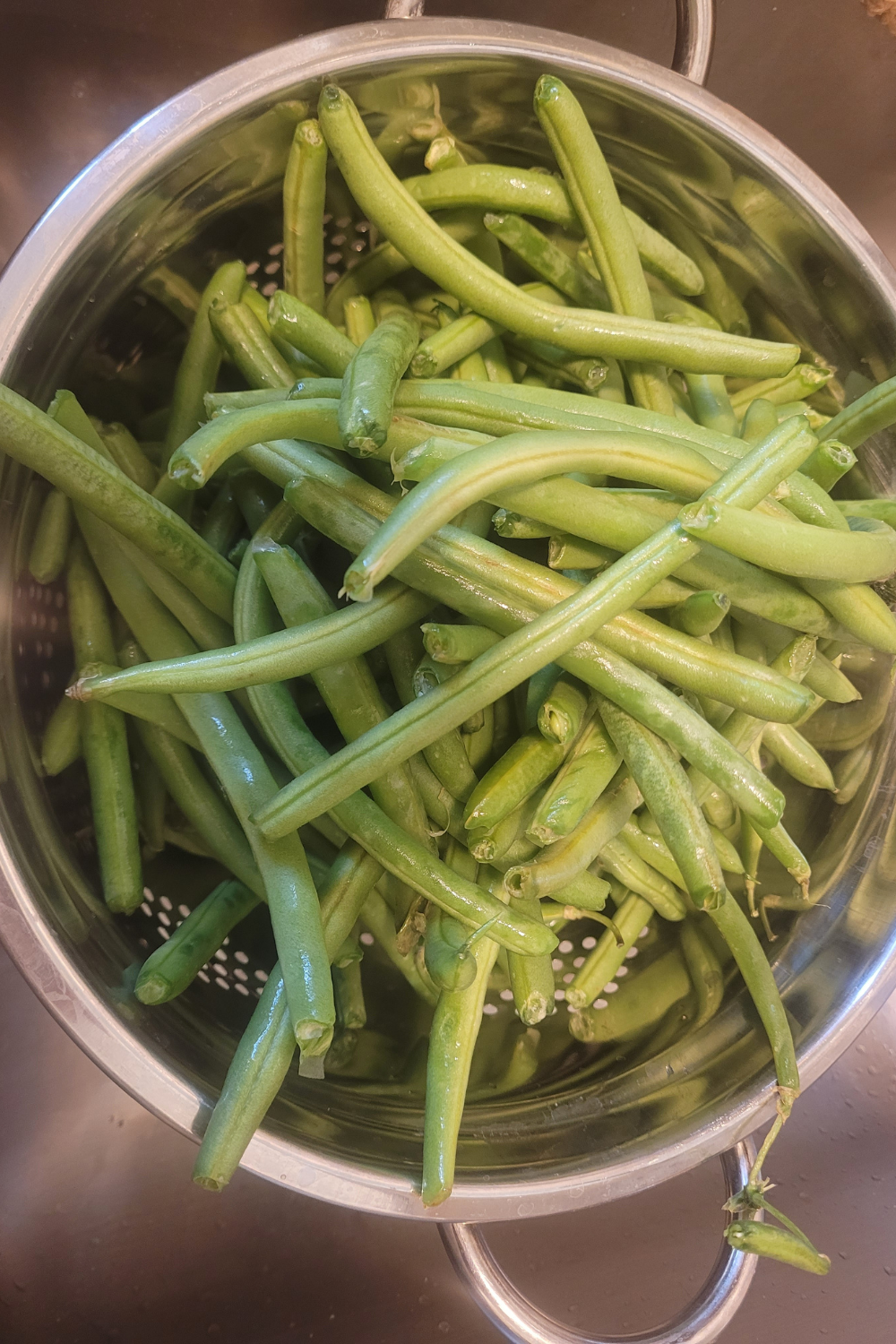 Image illustrates dilly beans.