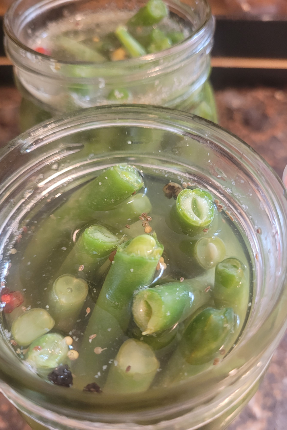 Image illustrates dilly beans.