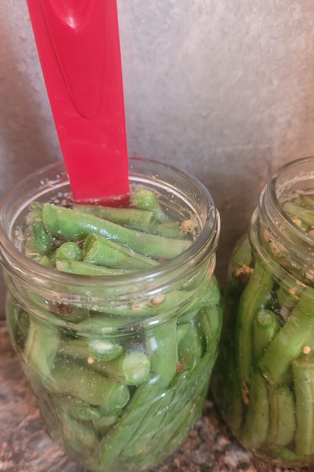 Image illustrates dilly beans.