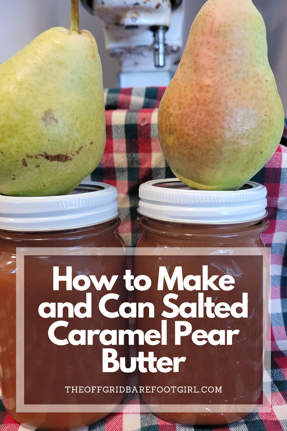 Image illustrates a Pinterest pin of salted caramel pear butter.