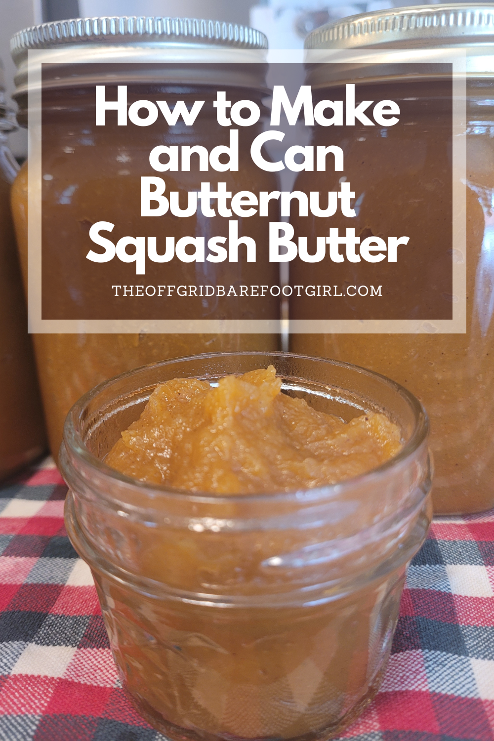 Image illustrates a Pinterest pin of butternut squash butter.