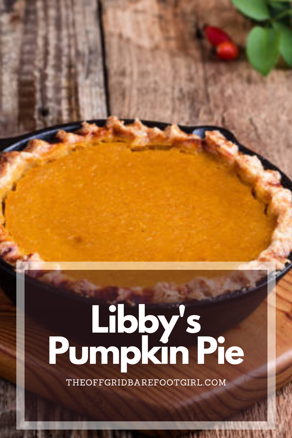 Image illustrates a Pinterest pin of a pumpkin pie for a recipe for Libby's pumpkin pie.