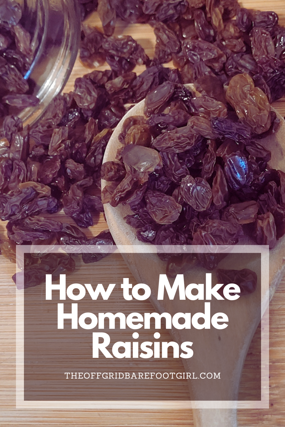 Image illustrates a Pinterest pin for how to make homemade raisins.