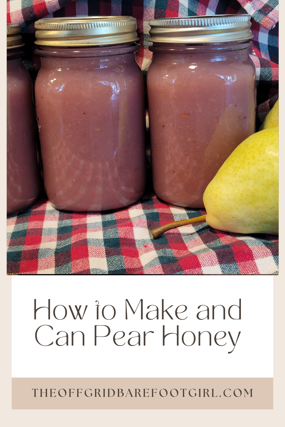 Image illustrates a Pinterest pin of pear honey.