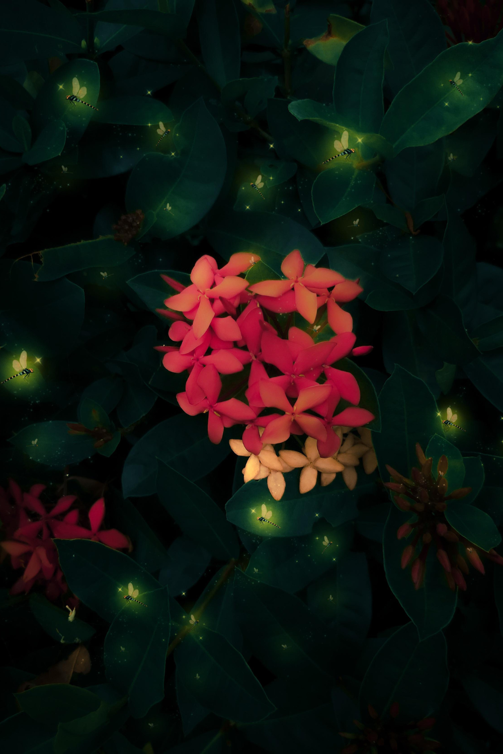 Image illustrates fireflies and lightning bugs solar lights for garden.