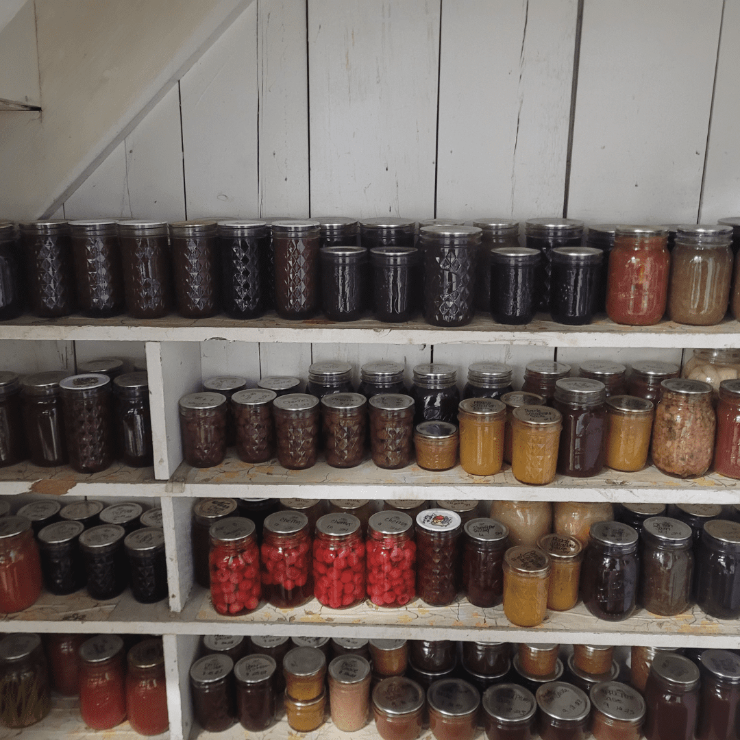 Image illustrates Becoming a Backyard Farmer book by The Off Grid Barefoot Girl.