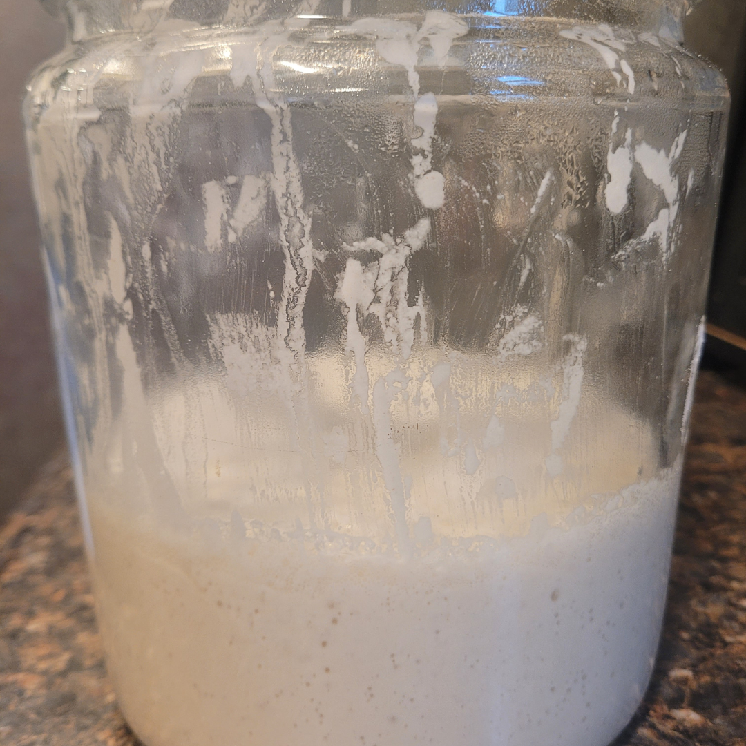 Image illustrates Becoming a Backyard Farmer book by The Off Grid Barefoot Girl.