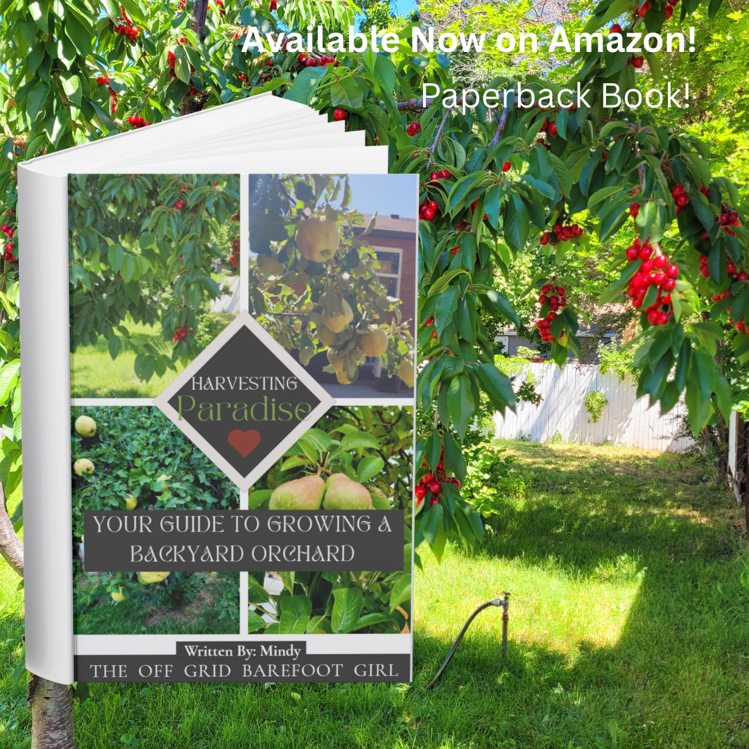 Image illustrates Harvesting Paradise book by The Off Grid Barefoot Girl.
